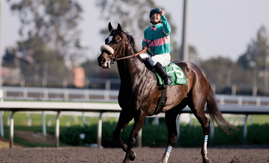 The Greatest Racehorses of All Time