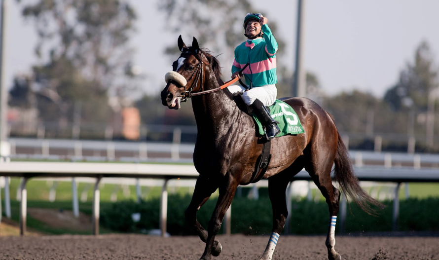 The Greatest Racehorses of All Time