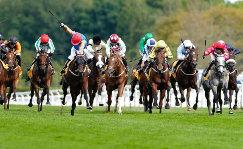 The Future of Horse Racing